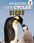 Birds (Amazing Life Cycles) By John Allan Cover Image