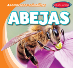 Abejas (Bees) By Bray Jacobson, Diana Osorio (Translator) Cover Image