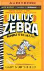 Julius Zebra: Rumble with the Romans! Cover Image