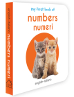 My First Book of Numbers - Numeri: My First English - Italian Board Book By Wonder House Books Cover Image