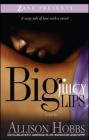 Big Juicy Lips: Double Dippin' 2 By Allison Hobbs Cover Image