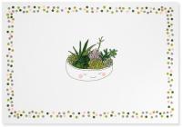 Note Card Succulents By Inc Peter Pauper Press (Created by) Cover Image