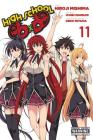 High School DxD, Vol. 11 Cover Image