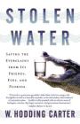 Stolen Water: Saving the Everglades from Its Friends, Foes, and Florida By W. Hodding Carter Cover Image