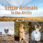 Little Animals in the Arctic: English Edition Cover Image