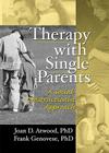 Therapy with Single Parents: A Social Constructionist Approach (Haworth Marriage and Family Therapy) Cover Image