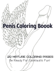 Penis Coloring Book. 20 Mature Coloring Pages. Be ready for Cocktastick Fun By Tata Gosteva Cover Image