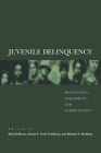 Juvenile Delinquency: Prevention, Assessment, and Intervention Cover Image