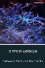 10 Types of Macroalgae: Saltwater Plants for Reef Tanks By Roman Pirogov Cover Image