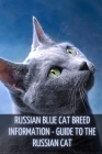 Russian Blue Cat Breed Information: Guide to the Russian Cat Cover Image