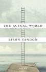 The Actual World By Jason Tandon Cover Image
