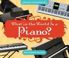 What in the World Is a Piano? (Musical Instruments) By Mary Elizabeth Salzmann Cover Image
