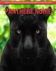 Panthère Noire: Images et Informations Étonnantes Concernant les Panthère Noire By Maria Polansky Cover Image