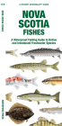 Nova Scotia Fishes: A Waterproof Folding Guide to Native and Introduced Freshwater Species (Pocket Naturalist Guide) By Matthew Morris, Waterford Press, Leung Raymond (Illustrator) Cover Image