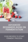 Advanced Beginners Book On Fermentation: Food Recipes To Start Ferment Process: Fermented Beer Recipes By Elisha Lopiccalo Cover Image
