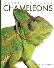 Chameleons (Amazing Animals) By Bodden Valerie Cover Image