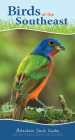 Birds of the Southeast: Your Way to Easily Identify Backyard Birds (Adventure Quick Guides) Cover Image