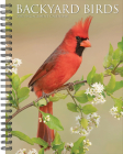 Backyard Birds 2025 6.5 X 8.5 Engagement Calendar By Willow Creek Press Cover Image