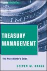 Treasury Management: The Practitioner's Guide (Wiley Corporate F&a #6) By Steven M. Bragg Cover Image