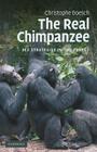 The Real Chimpanzee: Sex Strategies in the Forest By Christophe Boesch Cover Image