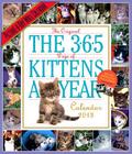 The 365 Kittens-A-Year 2013 Wall Calendar By Workman Publishing Cover Image