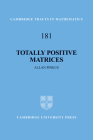 Totally Positive Matrices (Cambridge Tracts in Mathematics #181) By Allan Pinkus, Pinkus Allan Cover Image