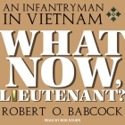 What Now, Lieutenant? By Bob Souer (Read by), Robert O. Babcock Cover Image