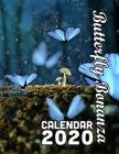 Butterfly Bonanza Calendar 2020: 14 Months of Beautiful Butterflies to Feed Your Need for Beauty By Calendar Gal Press Cover Image