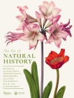 The Art of Natural History: Botanical Illustrations, Ornithological Drawings, and Other Masterpieces from  the Age of Exploration By Pascale Heurtel, Michelle Lenoir Cover Image