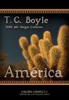 America By T. C. Boyle, Dinesh D'Souza, Sergio Gutierrez (Read by) Cover Image