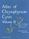 Atlas of Chrysophycean Cysts: Volume II (Developments in Hydrobiology #157) By A. N. Wilkinson, John R. Glew (Illustrator), Barbara a. Zeeb Cover Image