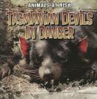 Tasmanian Devils in Danger (Animals at Risk) By Michael Portman Cover Image