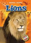 Lions (Animal Safari) By Derek Zobel Cover Image