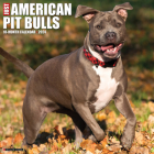 Just American Pit Bull Terriers 2024 12 X 12 Wall Calendar Cover Image