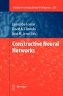 Constructive Neural Networks (Studies in Computational Intelligence #258) Cover Image