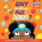 Why Do Things Fall Down? Cover Image