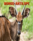 Bongo-Antilope: Sagenhafte Fotos & Buch mit lustigem Wissen über Bongo-Antilope für Kinder Cover Image