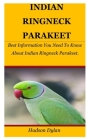Indian Ringneck Parakeet: Best Information You Need To Know About Indian Ringneck Parakeet. Cover Image