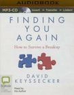 Finding You Again: How to Survive a Breakup Cover Image