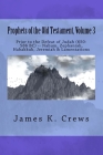 Prophets of the Old Testament, Volume 3: Prior to the Defeat of Judah (650-586 BC) -- Nahum, Zephaniah, Habakkuk, Jeremiah & Lamentations By James K. Crews Cover Image