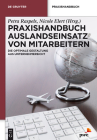 Praxishandbuch Auslandseinsatz von Mitarbeitern (de Gruyter Praxishandbuch) By Petra Raspels (Editor), Nicole Elert (Editor) Cover Image