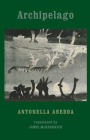 Archipelago By Antonella Anedda, Jamie McKendrick (Translator) Cover Image