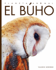 El búho (Planeta animal) By Valerie Bodden Cover Image
