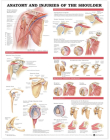 Anatomy and Injuries of the Shoulder Anatomical Chart By Anatomical Chart Company (Prepared for publication by) Cover Image