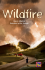 Wildfire!: Leveled Reader Ruby Level 28 Cover Image