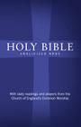 Anglicized Bible-NRSV: With Daily Prayer and Readings from the Church of England's Common Worship Cover Image
