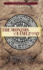 The Months of Tamuz and Av: Embracing Brokenness 17th of Tamuz, Tisha b'Av, & Tu b'Av By Dovber Pinson Cover Image