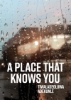 A Place That Knows You By Tiwaladeoluwa Adekunle Cover Image