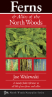 Ferns & Allies of the North Woods: A Handy Field Reference to All 86 of Our Ferns and Allies (Naturalist) Cover Image