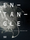 Entangle: Physics and the Artistic Imagination By Ariane Koek (Text by (Art/Photo Books)), Nicola Triscott (Editor), Gavin Parkinson (Text by (Art/Photo Books)) Cover Image